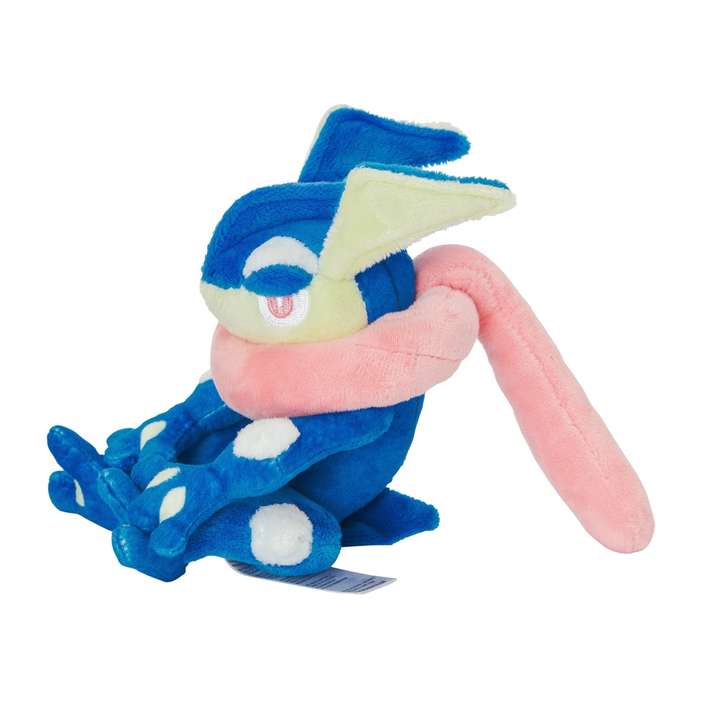 Pokémon fit- Greninja